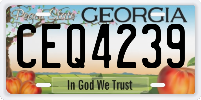 GA license plate CEQ4239