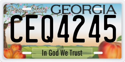 GA license plate CEQ4245