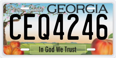 GA license plate CEQ4246