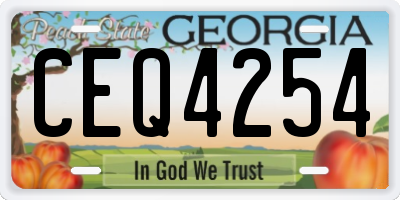 GA license plate CEQ4254