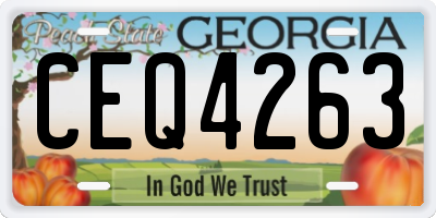 GA license plate CEQ4263