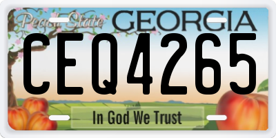 GA license plate CEQ4265
