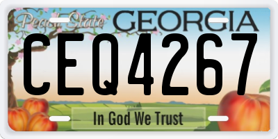 GA license plate CEQ4267