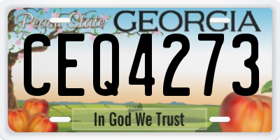 GA license plate CEQ4273