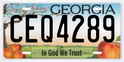 GA license plate CEQ4289