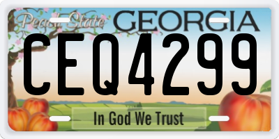 GA license plate CEQ4299