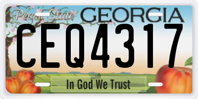 GA license plate CEQ4317