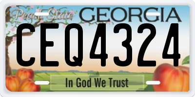 GA license plate CEQ4324