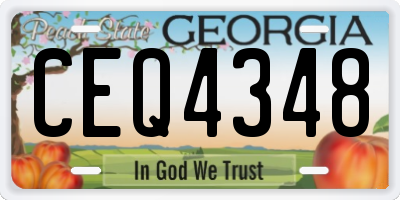 GA license plate CEQ4348
