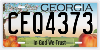 GA license plate CEQ4373