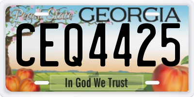 GA license plate CEQ4425