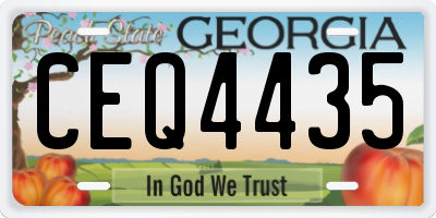 GA license plate CEQ4435