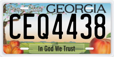 GA license plate CEQ4438