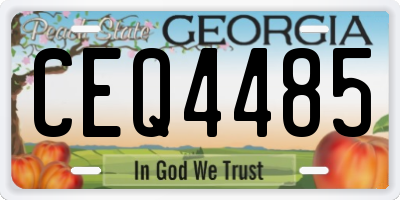 GA license plate CEQ4485