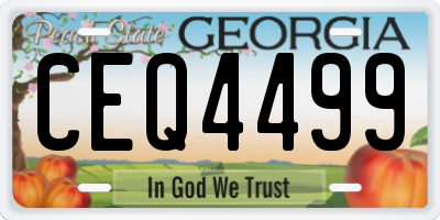 GA license plate CEQ4499