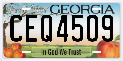 GA license plate CEQ4509