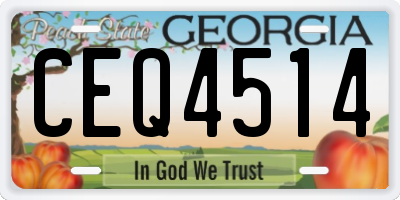 GA license plate CEQ4514