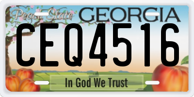 GA license plate CEQ4516