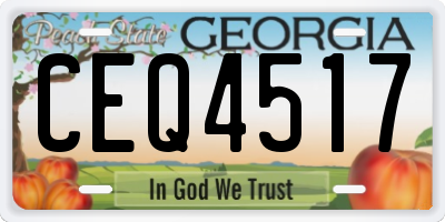 GA license plate CEQ4517