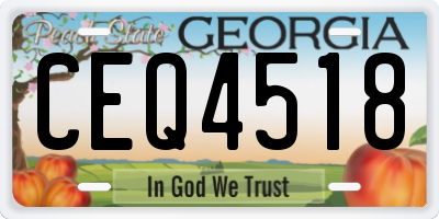 GA license plate CEQ4518