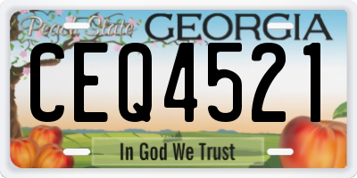 GA license plate CEQ4521