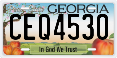 GA license plate CEQ4530