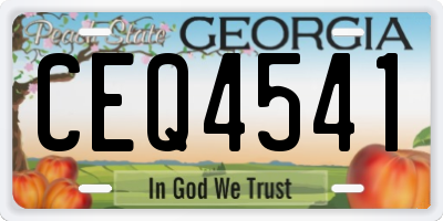 GA license plate CEQ4541