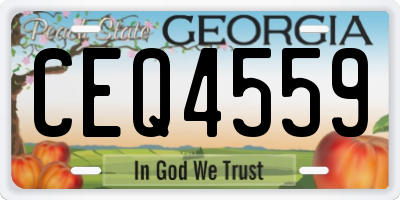 GA license plate CEQ4559