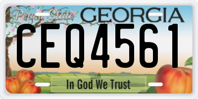 GA license plate CEQ4561