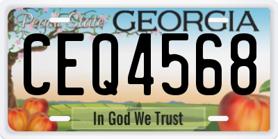GA license plate CEQ4568