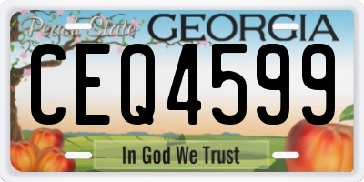 GA license plate CEQ4599
