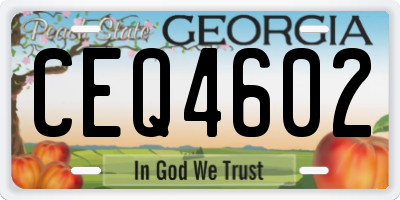 GA license plate CEQ4602