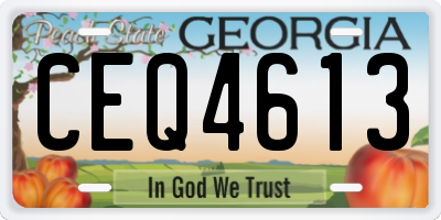 GA license plate CEQ4613