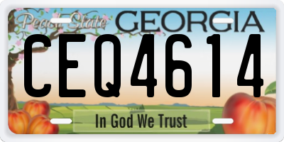 GA license plate CEQ4614