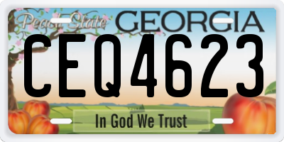 GA license plate CEQ4623