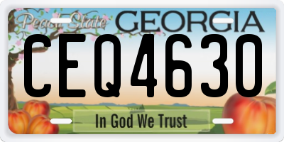GA license plate CEQ4630