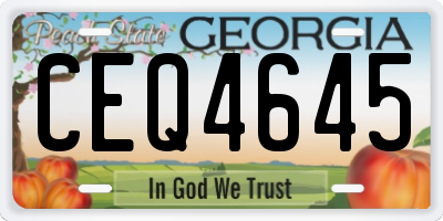 GA license plate CEQ4645