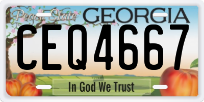 GA license plate CEQ4667