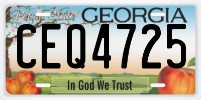 GA license plate CEQ4725