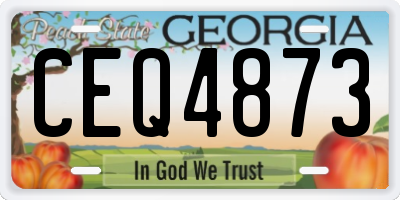 GA license plate CEQ4873