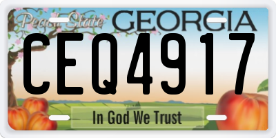 GA license plate CEQ4917