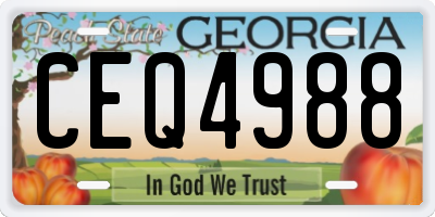 GA license plate CEQ4988