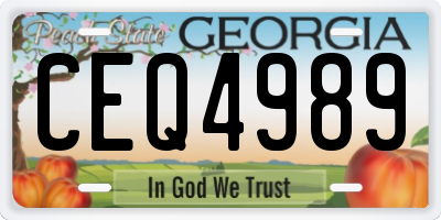 GA license plate CEQ4989