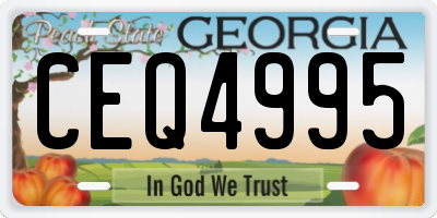 GA license plate CEQ4995