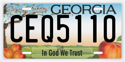 GA license plate CEQ5110
