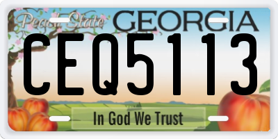 GA license plate CEQ5113