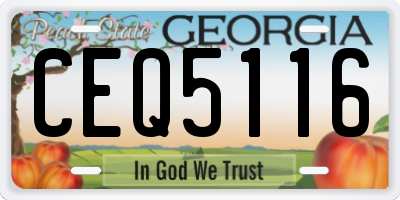 GA license plate CEQ5116
