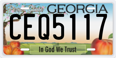 GA license plate CEQ5117