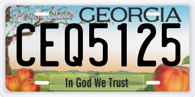 GA license plate CEQ5125