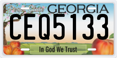 GA license plate CEQ5133